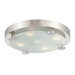 Flush 4 Light Ceiling Lamp