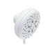 Banbury Shower Head