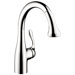 Allegro E Gourmet Prep Single Handle Single Hole Kitchen Faucet