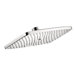 Raindance E 240 Shower Head