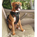 Pet Vehicle Safety Harness