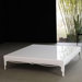 Elm Coffee Table