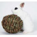 Woven Grass Play Ball
