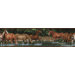 Studio Designs Wild Horses Wall Border