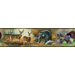Studio Designs Wildlife Medley Wall Border