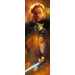 Star Wars Obiwan Panel