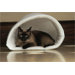 Kuddle Kup Eco-Friendly Cat Bed/Play Tunnel