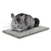 Chinchilla Chiller