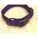 Adjustable Dog Collar in Hot Purple
