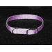 Single Thick Nylon Deluxe Dog Collar in Lavender