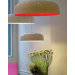 Canopy Suspension Lamp