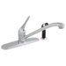 Single Handle Kitchen Faucet with Side Spray