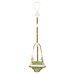Jungle Bumper Jumper