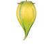 Carnival Pendant Murano Glass Shade in Green