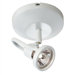 Low Voltage Monopoint Canopy Surface Mount