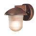 Danbury Compact Fluorescent  Outdoor Wall Lantern in Antique Bronze - Energy Star