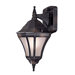 Segovia Compact Fluorescent  Outdoor Wall Lantern in Heritage - Energy Star