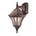 Segovia Compact Fluorescent  Outdoor Wall Lantern in Vintage Rust - Energy Star