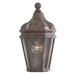 Harrison  Outdoor Wall Lantern in Vintage Rust