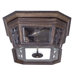 Buckingham  Outdoor Flush Mount Lantern in Prussian Gold