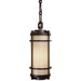 1 Light Indoor/Outdoor Chain Hanging Lantern