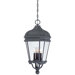 Harrison 4 Light Outdoor Chain Hanging Lantern