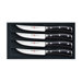Classic Ikon 4 Piece Steak Set