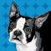 Pooch D&eacute;cor Boston Terrier Portrait
