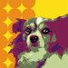 Pooch D&eacute;cor Papillion Portrait