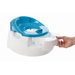 First Potty