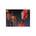 Nite Dawg 60" LED Dog Leash in Red
