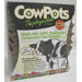 Cow Pots