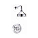 Shower Faucet Cross Handle