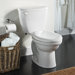 Colony Fit Right Elongated Toilet