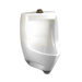 Maybrook Urinal with .75" Top Inlet Spud, Outlet Spud, and Tubing Tailpiece