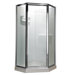 Neo Angle Shower Door