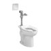 Madera 1.6 GPF Exposed AC Select Flush Valve System