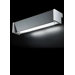 Fly Wall Lamp