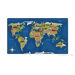 Printed Continental Wonders Kids Rug