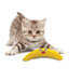 Green Magic Boomerang Buddy Cat Toy