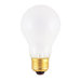A19 High Voltage Light Incandescent Bulb