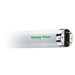 Bi-Pin Base T8 Fluorescent Bulb