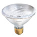 75W PAR30 Halogen Flood Light Bulb in Warm White