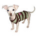 Mocha Mint Dog Tank in Cherry