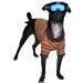 Big Dog Ski Dog Turtleneck in Gold