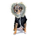 Split Hood Dog Jacket in Black