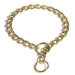 Steel Coated Dog Collar in Gold