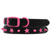 Genuine Leather Cat and Puppy Collar with Spikes and Stars