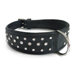2.5" Signature Quality Genuine Leather Rhinestone Studded Dog Collar
