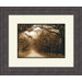 Savannah Oaks A Framed Art
